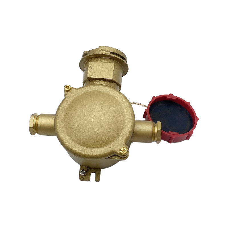 เต้ารับไฟฟ้าทองเหลืองพร้อม Interlock Switch-CZS3-2 1I4